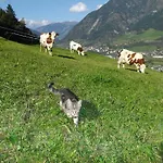 Biobauernhof Aslgut * Bad Hofgastein