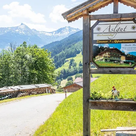 Biobauernhof Aslgut Gospodarstwo agroturystyczne