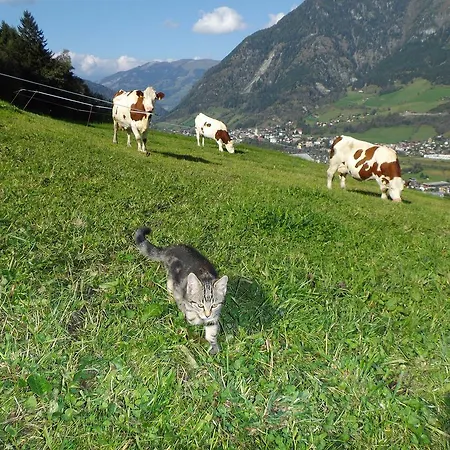 Biobauernhof Aslgut * Bad Hofgastein