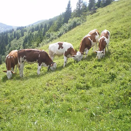 Biobauernhof Aslgut Farma *