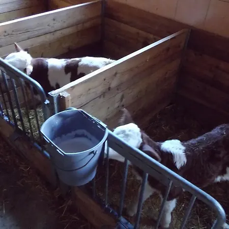 Biobauernhof Aslgut Vakantieboerderij